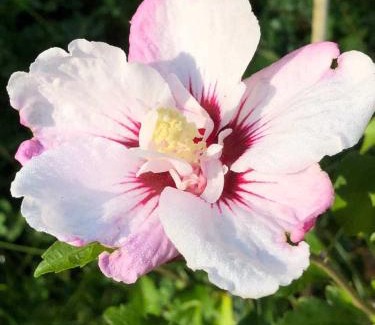 Enniskillen Bed & Breakfast | Our Valley View Bed & Breakfast