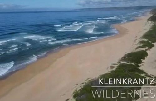 Wilderness Beach Apartment | Out to Sea