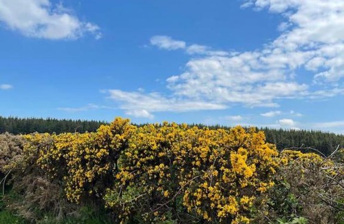 Omagh House | Outstanding holiday cottage In Sixmilecross Omagh