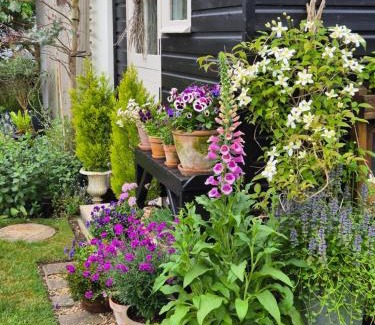 Newport Pagnell Apartment | Owl Lodge