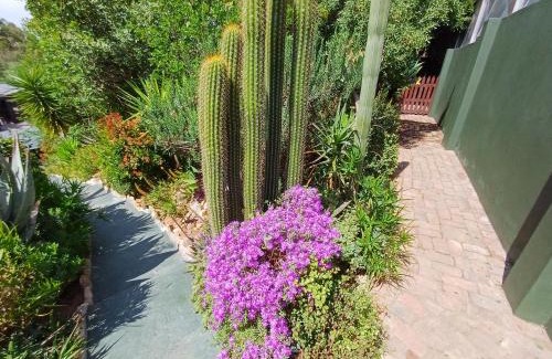 Oudtshoorn Apartment | Owl's Den 2