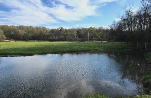 Piedmont Apartment | Ozark Getaway on 240 acres