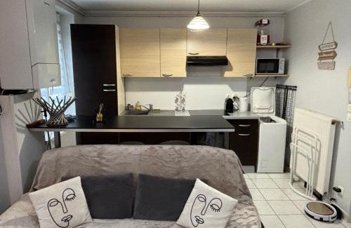 Amneville Apartment | Pôle Thermal & Touristique Amnéville
