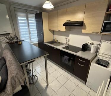 Amneville Apartment | Pôle Thermal & Touristique Amnéville