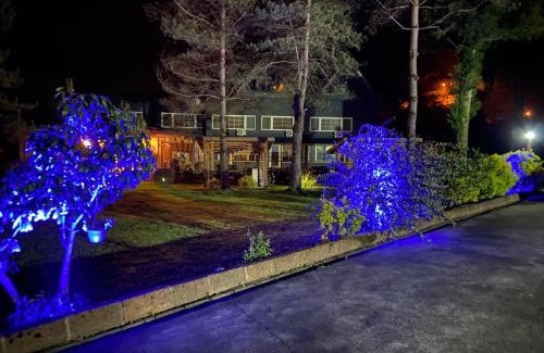 Arhavi House | pınar kır evi