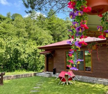 Arhavi House | pınar kır evi