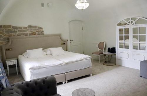 Staszow Apartment | Pałac w Kurozwękach