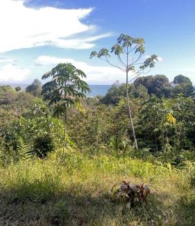 Uramba National Park House | Pacific Dream Eco-Hostal