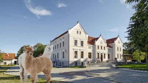 Mortegi Hotel | Palac Mortegi Hotel & SPA- Restauracja Szlachecka, SPA, Basen, Sauny, Jazda Konna, Mini Zoo- Luksus, Relaks i Przyroda w jednym!