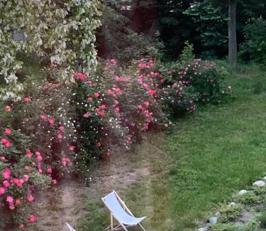 Gostyn Bed & Breakfast | Palac Osowo gostynskie