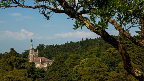 Luso Hotel | Palace Hotel do Bussaco