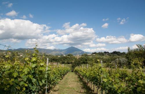 Arce House | Palazzo Tronconi agriturismo