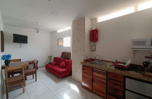 R Apartment | PALMAS DE CHAHUE A (409 SF)
