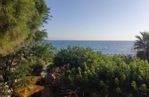 Gumuldur Hotel | Palmiye Hotel