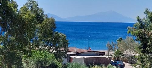 Cumhuriyet Apartment | Palmiyem Apart Otel