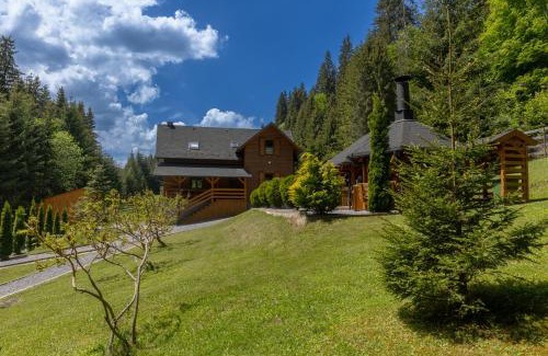 Joseni House | Paltán Vendégház
