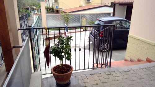 Sapri Apartment | Palummella
