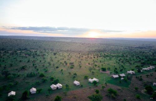 Serengeti National Park Other | Pamoja Migration Camp