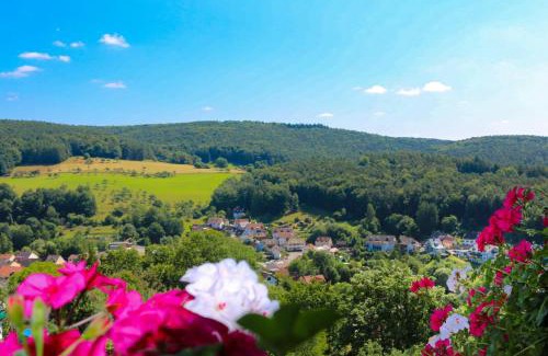 Heimbuchenthal Hotel | PANORAMA Hotel Heimbuchenthal