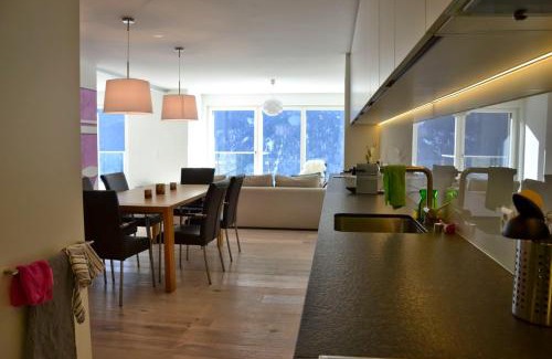 Engadin Scoul Apartment | Panorama Lodge