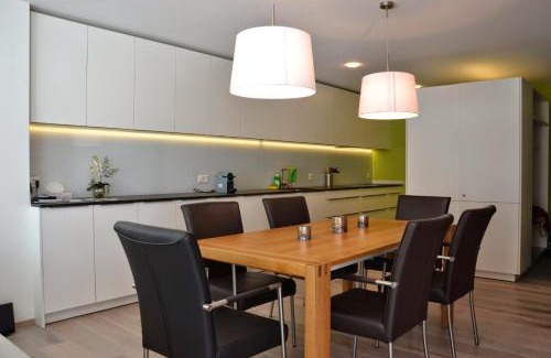 Engadin Scoul Apartment | Panorama Lodge