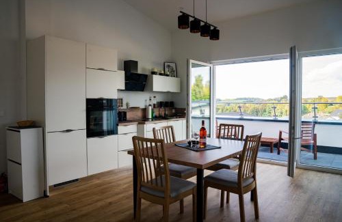 Sinsheim Apartment | Panorama Suite 20