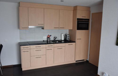 Les Mayens-de-Sion Apartment | Panoramachalet
