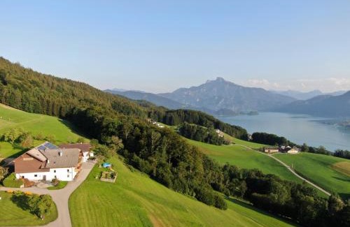 Tiefgraben Apartment | Panoramahof Manzberg