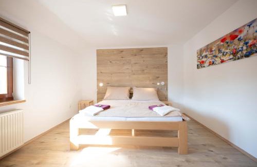 Valtice Apartment | PAPI Apartmán