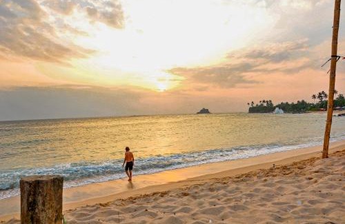 Midigama Hotel | Paradise Bungalow
