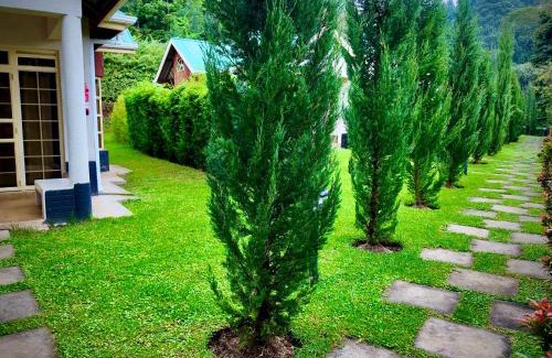 Nyeri Hotel | Paradise Farm Cottages Mbui Nyeri