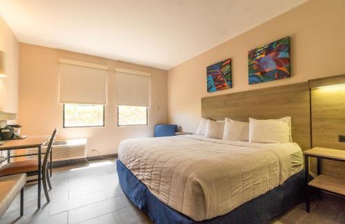 Borinquen Hotel | Parador El Faro