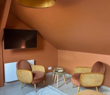 Auxerre Apartment | Parenthèse sous les toits - suite cosy avec jacuzzi - hypercentre