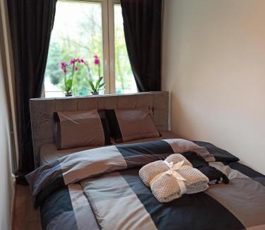 Chorzow Apartment | Park Redena Katowice/Chorzów