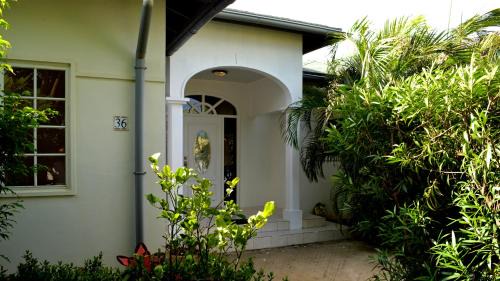 Cunucu Abao Villa | Parrot Villa