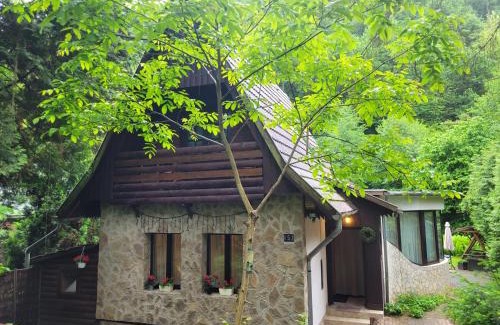Magyarkut House | Patak Dream House