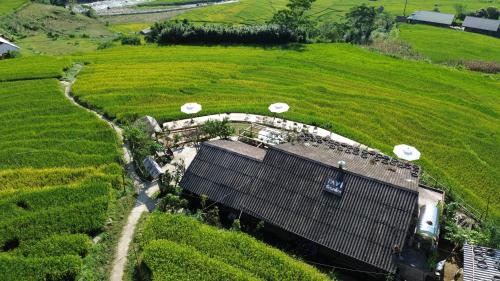 Hau Thao House | Pavi garden