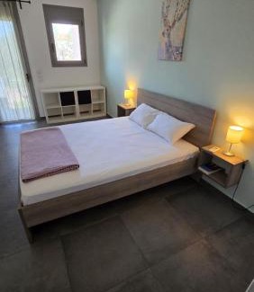 Tolo Apartment | Pavlina's Holiday Home three minutes from beach