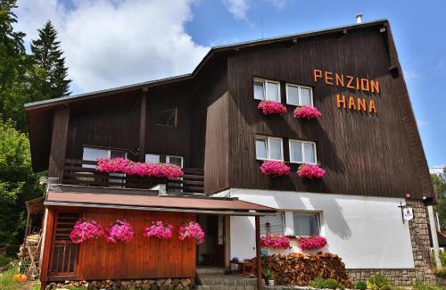 Albrechtice v Jizerskych horach House | Penzion HANA