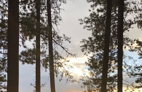 Clearwater County House | Peace and tranquility! Cozy home in forest setting.