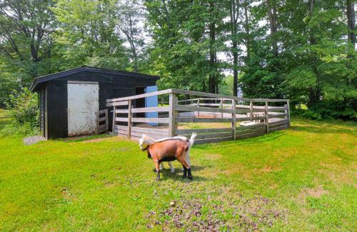 Chester House | Peaceful Brookside Getaway about 10 Mi to Okemo Slopes!