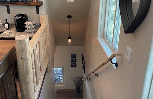Conifer Mountain and Meadows Apartment | Peaceful Rustic Mountain Entertainment Studio