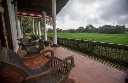 Dambulla House | Peacock House Sigiriya
