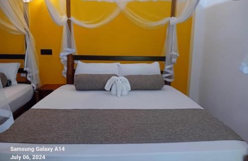 Pallebedda Hotel | Peacock Riverside