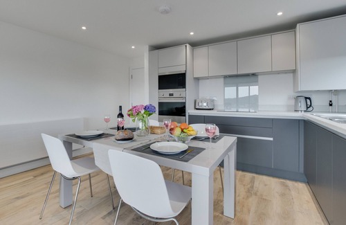 Pontcanna Apartment | Pen Dinas Cardiff Apartment