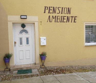 Muhlberg House | Pension Ambiente
