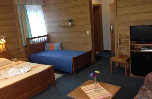 Spindleruv Mlyn House | Pension and Apartments MONIKA