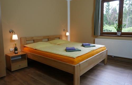 Harrachov House | Pension Aspen Harrachov