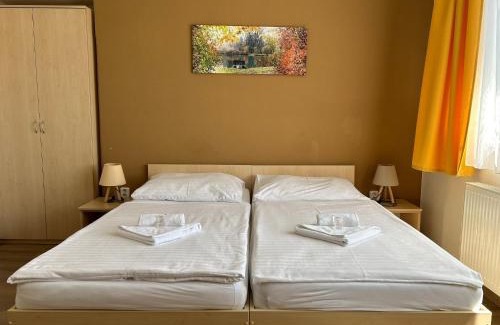Podebrady House | Pension Fontana