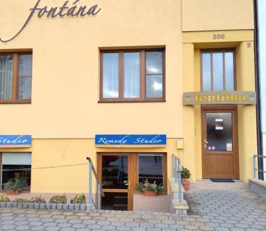 Podebrady House | Pension Fontana